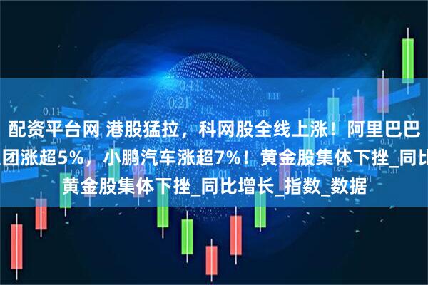 配资平台网 港股猛拉，科网股全线上涨！阿里巴巴涨超4%，小米集团涨超5%，小鹏汽车涨超7%！黄金股集体下挫_同比增长_指数_数据