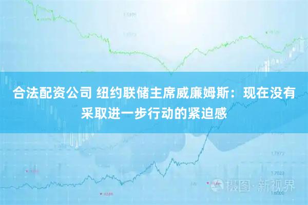 合法配资公司 纽约联储主席威廉姆斯：现在没有采取进一步行动的紧迫感