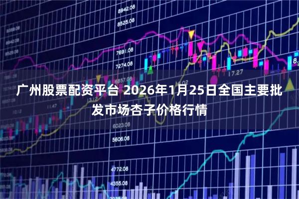 广州股票配资平台 2026年1月25日全国主要批发市场杏子价格行情